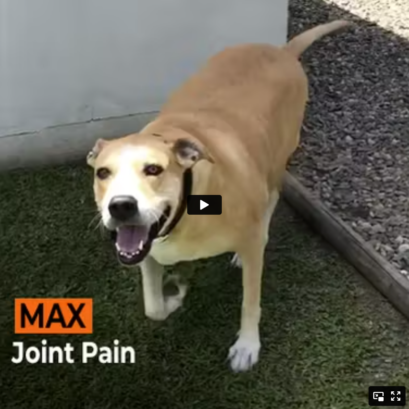 Max