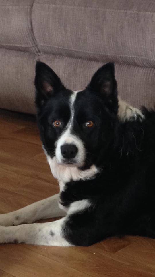 Lucy