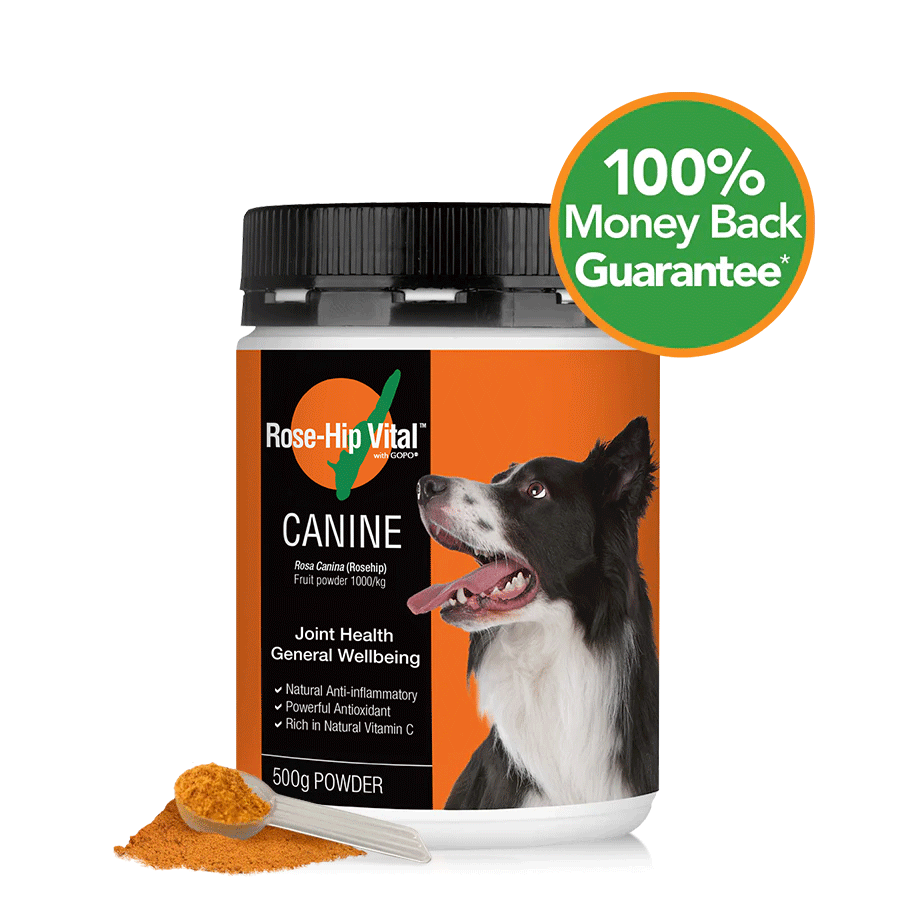 Canine 500g (1.1lb)