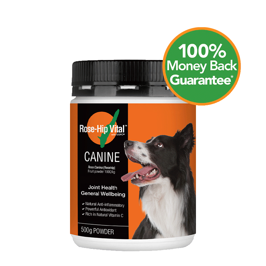 Canine 500g (1.1lb)