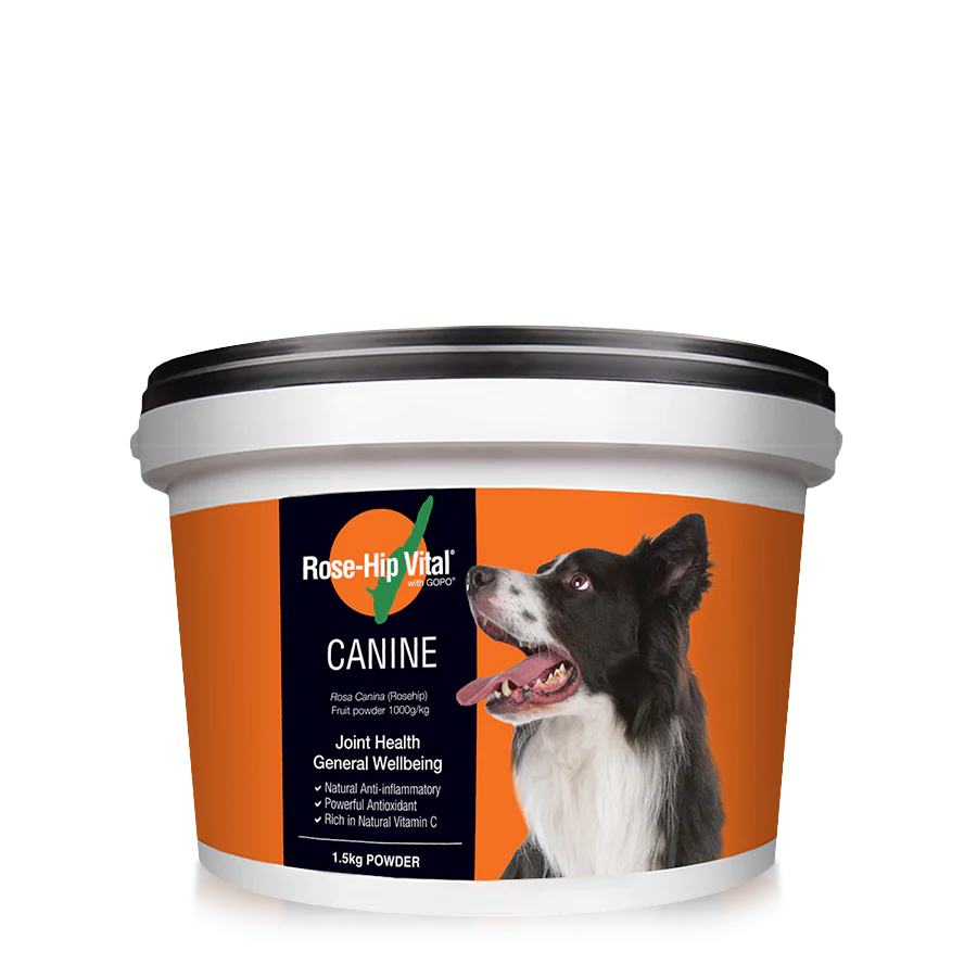 Canine 1.5kg (3.3lb)